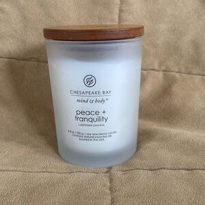 Chesapeake Bay candle 8.8 oz, never used